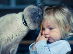 cat headbutting a young girl