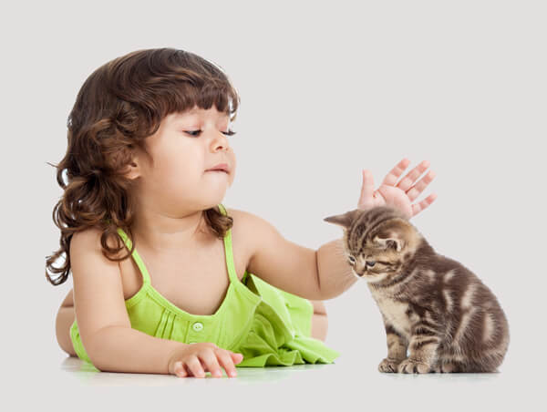 Une image d’un enfant et d’un chat engagés dans une interaction tendre.