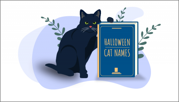 150 noms de chats les plus populaires sur le thème d'Halloween