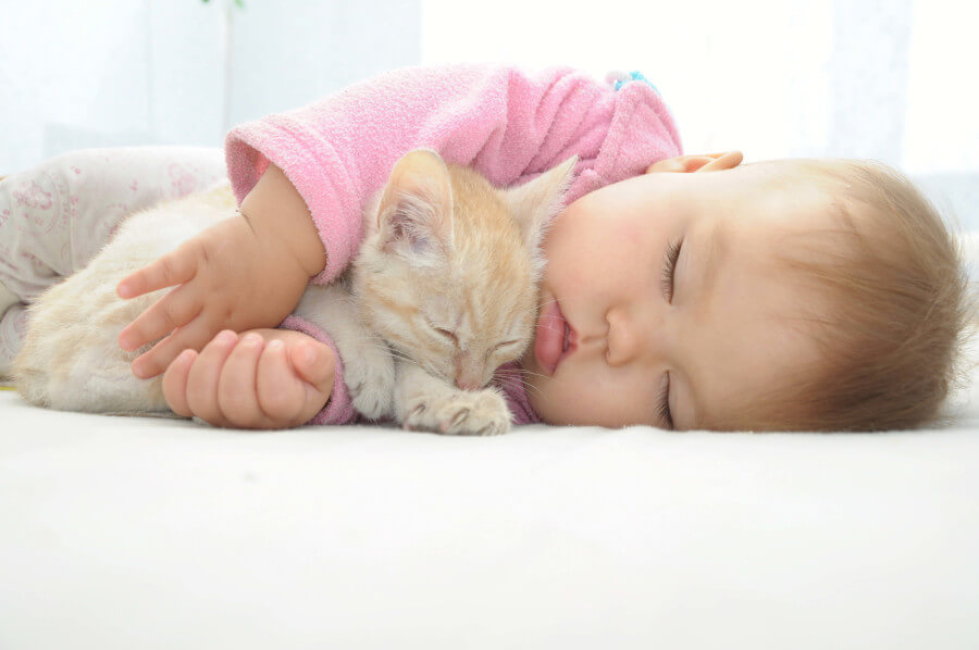 Une image réconfortante mettant en scène un bébé et un chat ensemble, capturant un moment tendre entre les deux compagnons.