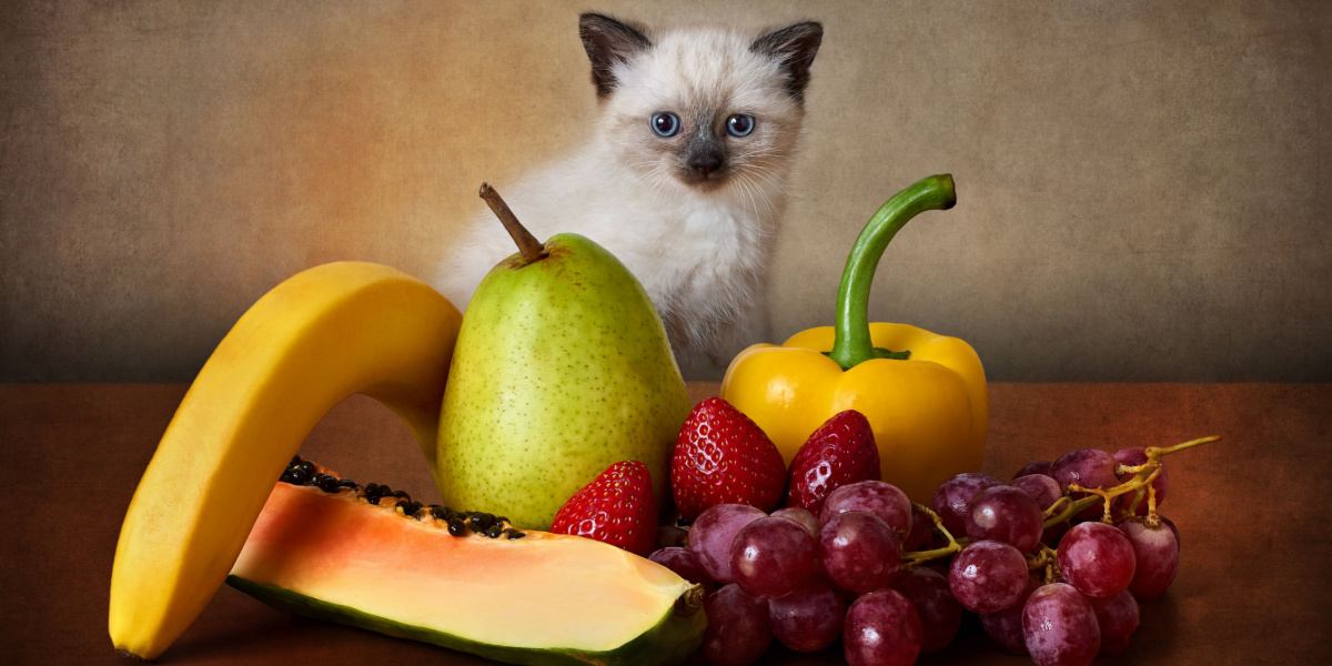 Le chaton joue avec des légumes et des fruits