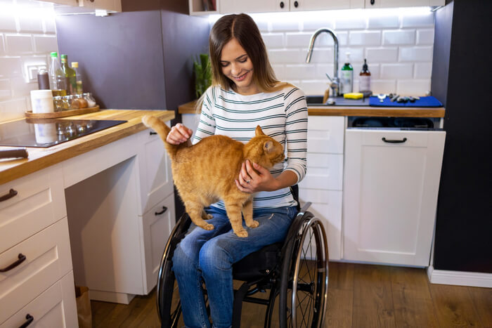 Comment éloigner les chats des comptoirs