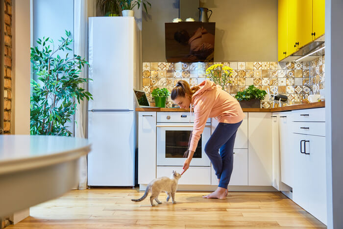 Comment éloigner les chats des comptoirs Conclusion