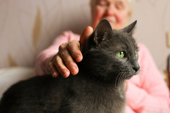 Une femme âgée caresse un chat gris.