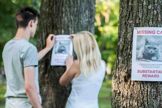 Une image représentant une personne inquiète tenant un dépliant « Chat perdu », peut-être à la recherche d'un compagnon félin disparu.