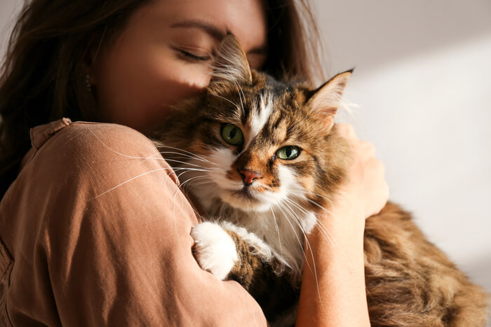 Femme tenant et serrant tendrement dans ses bras son chat bien-aimé