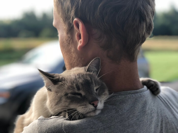 Une image émouvante mettant en scène une personne assise et un chat positionné à proximité, semblant visiblement triste.