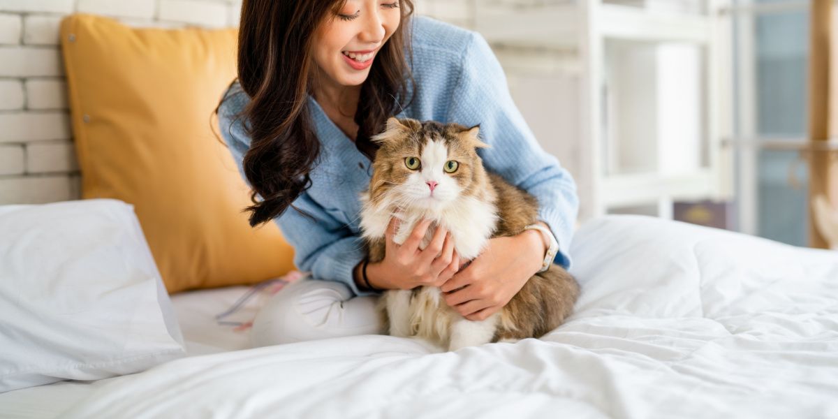 femme câlin chat