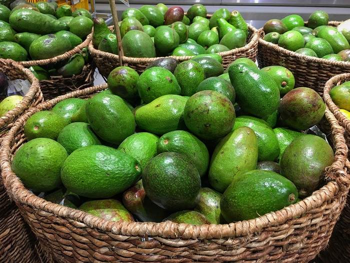 Avocat exposé dans un cadre naturel