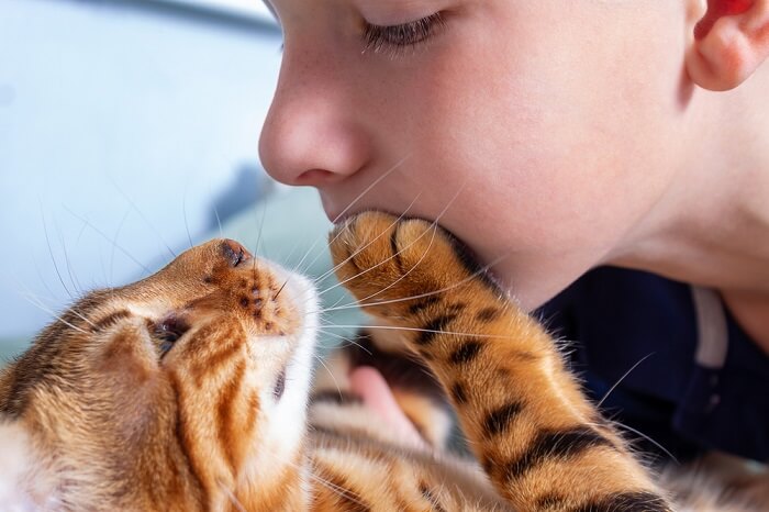 Bambino avec un chat du Bengal