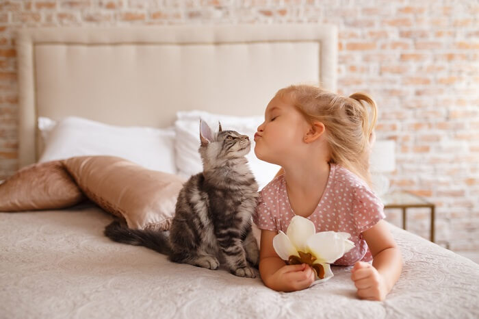 Une image mettant en scène une fille interagissant avec un chat.