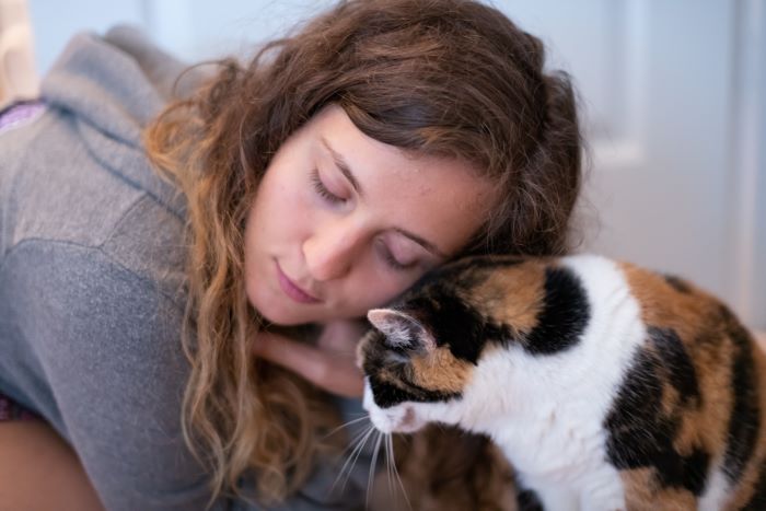 chat interagissant avec l'humain