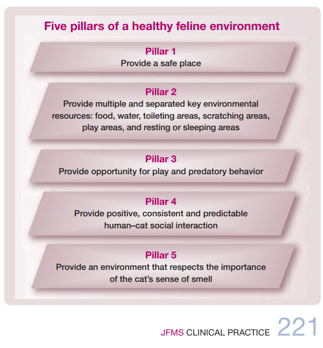 Cinq piliers d'un environnement félin sain JFMS
