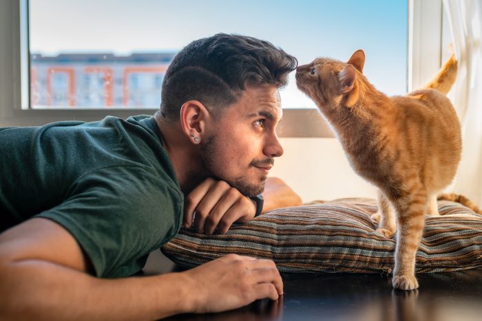 chat reniflant les cheveux d'un homme