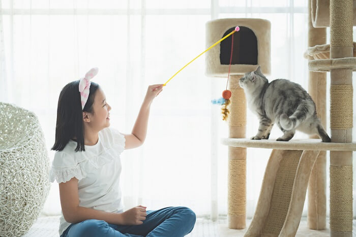 fille jouant avec un chat