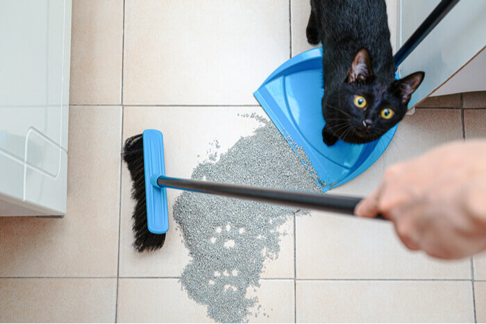 balayer la litière pour chat