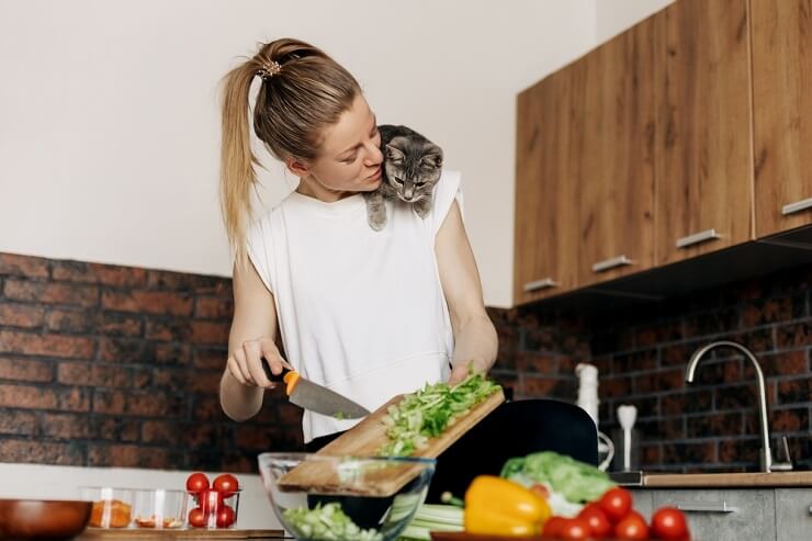 Gardez les chats loin des comptoirs : un chat sur l'épaule d'une femme dans la cuisine