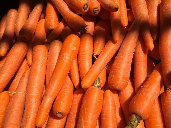 Tas de carottes fraîches, une collation vibrante et saine.