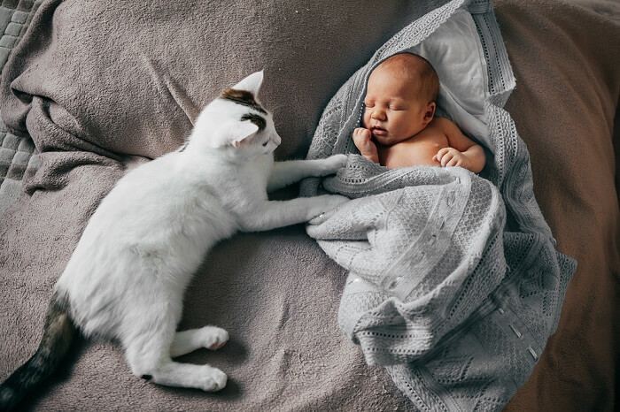 Une image représentant un moment réconfortant entre un bébé et un chat.