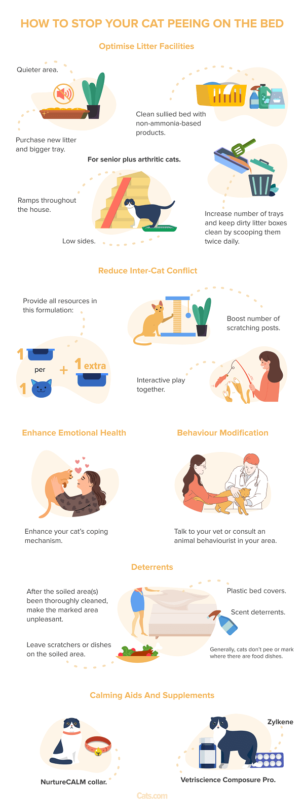 Une image montrant un propriétaire de chat inquiet à côté d'un chat en train d'uriner sur un lit. L'expression du propriétaire reflète un mélange de frustration et de confusion, soulignant la quête de compréhension et de solutions du propriétaire face au comportement d'élimination inapproprié du chat.