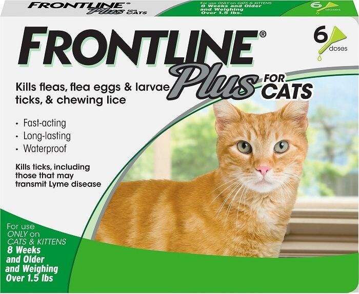 Frontline Plus pour chats : présentation, posologie et effets secondaires