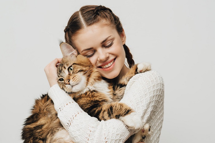 Une scène réconfortante se déroule alors qu'un chat est doucement serré dans ses bras par une paire de mains aimantes.