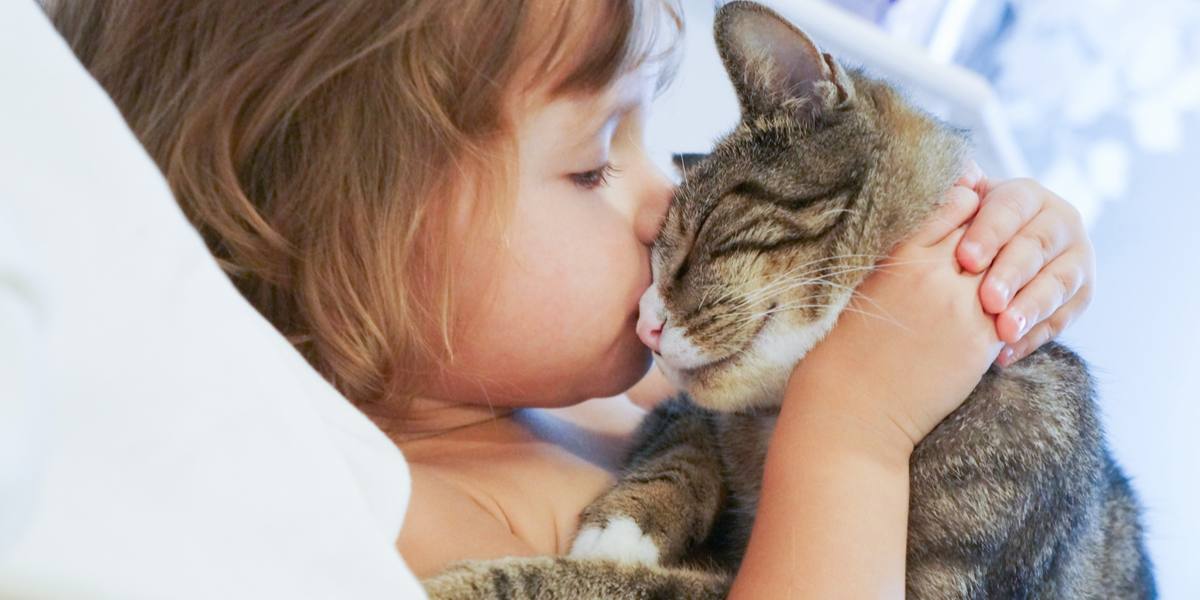 Image d’un enfant embrassant affectueusement un chat, reflétant un moment réconfortant de camaraderie et de confiance entre les humains et les amis félins.