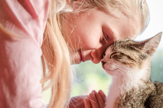 5 façons de renforcer le lien avec votre chat