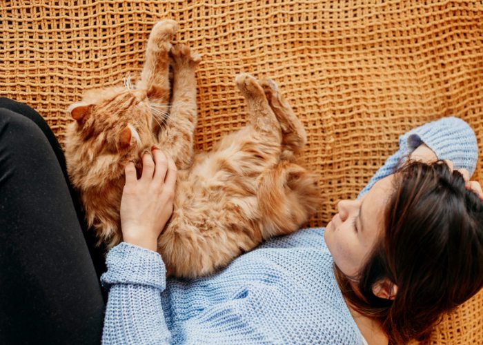 Une image représentant une femme et un chat orange dans un moment réconfortant.