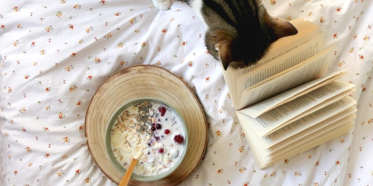 Un chat confortablement niché dans un lit à côté d'un bol de flocons d'avoine et d'un livre, créant une scène chaleureuse et charmante