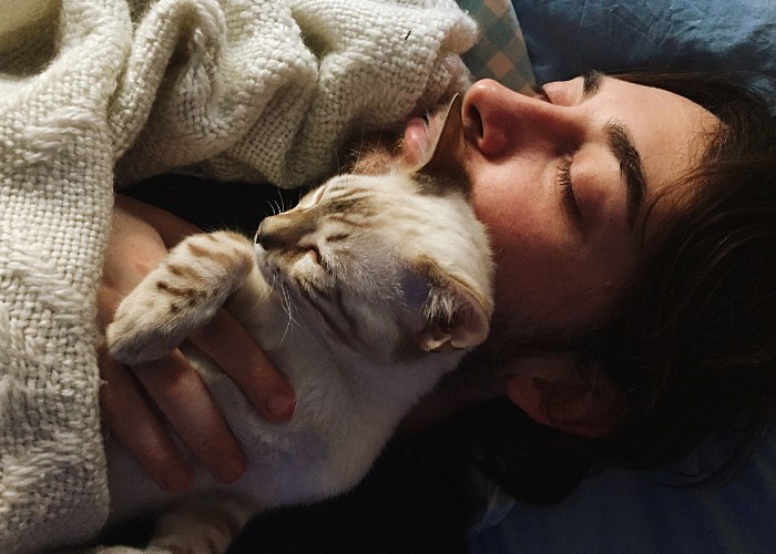 Un homme et un chat dorment paisiblement ensemble.