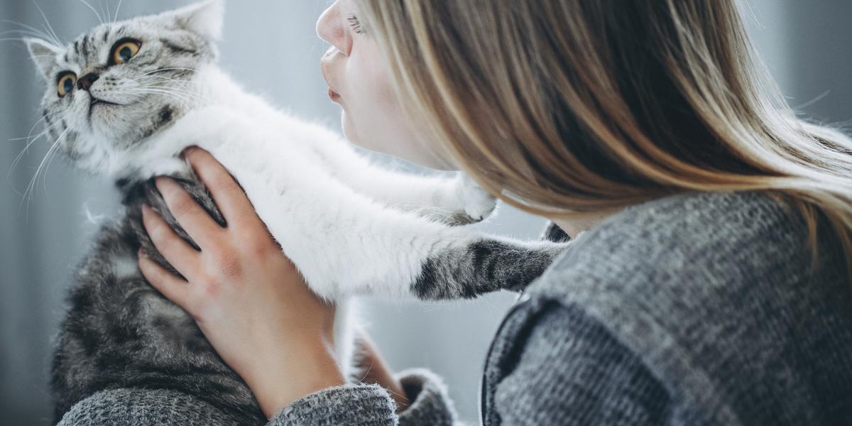 Image d'un chat moins affectueux, affichant un comportement plus réservé et mettant en évidence la diversité des personnalités que l'on retrouve parmi les compagnons félins.