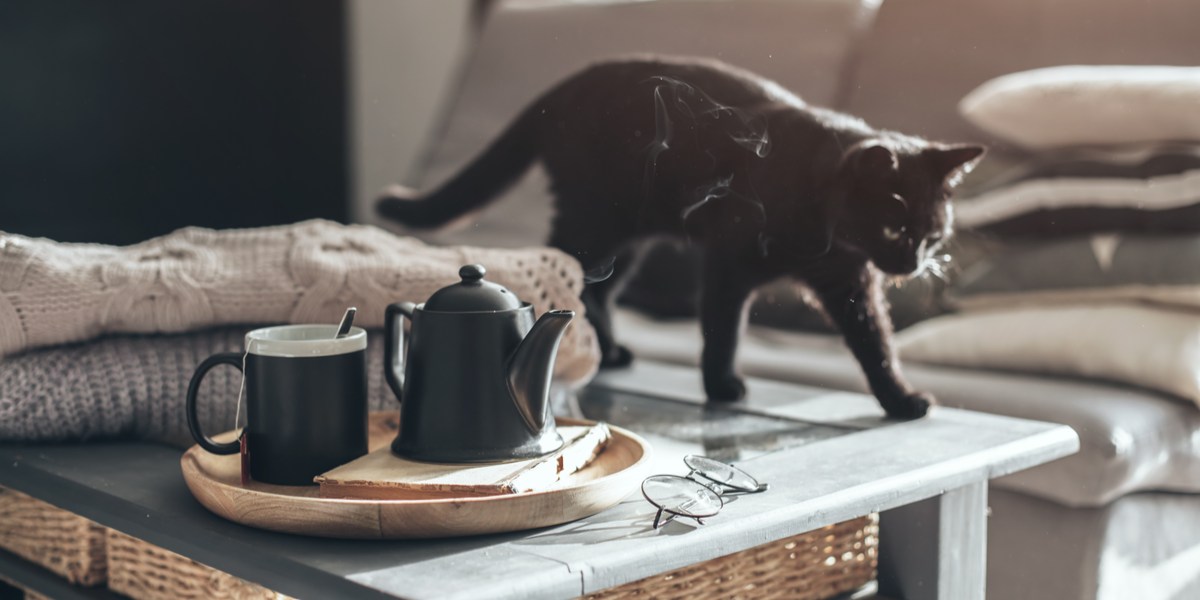 Collection d'images amusantes capturant des chats faisant tomber divers objets des tables, soulignant leur comportement ludique et espiègle.