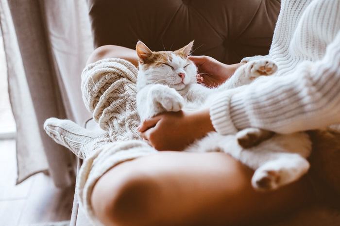 L'image capture un moment serein où un chat se repose paisiblement sur les jambes d'une personne alors qu'elle s'allonge.