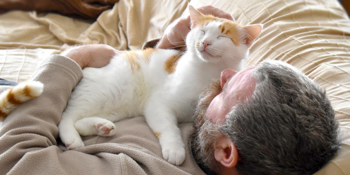 Image d'un chat allongé sur la poitrine d'une personne, soulignant le comportement affectueux et le lien étroit entre les chats et leurs compagnons humains.