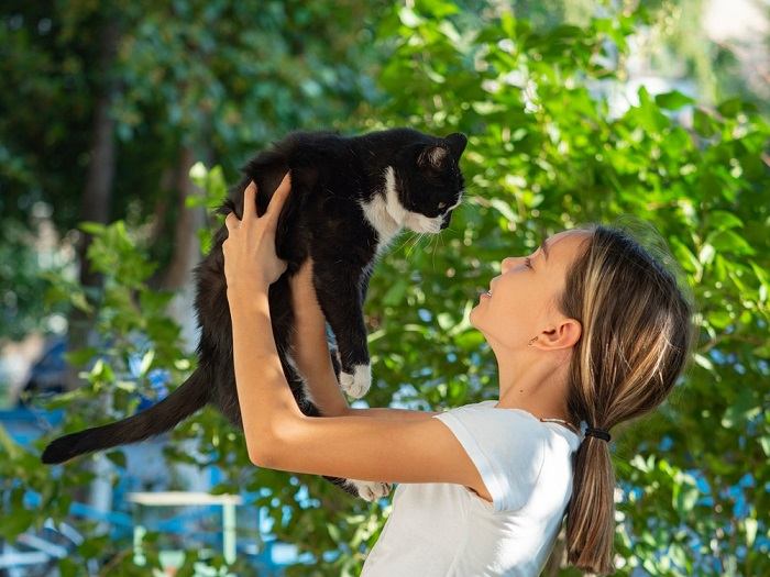 Regardez directement dans les yeux d’un chat alerte et attentif.