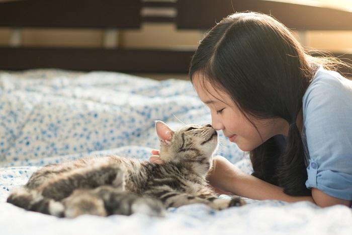 Une adorable image d'un enfant et d'un chat partageant un moment délicieux.