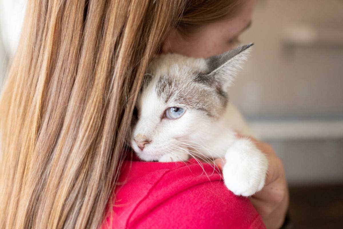 Image d'une dame serrant chaleureusement son chat dans ses bras, illustrant un moment réconfortant d'affection et de connexion entre un propriétaire d'animal de compagnie et son compagnon félin.