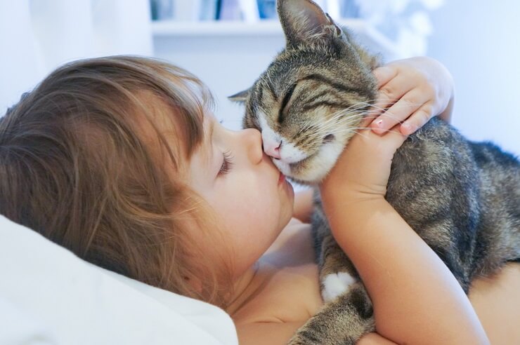 L’image représente un chat frottant son visage contre une personne, un objet ou même un coin.