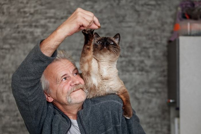 L’image semble représenter un chat affamé.