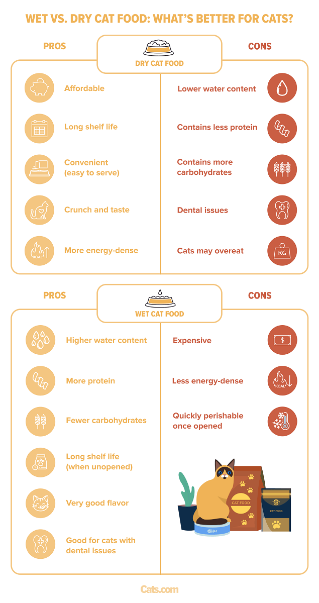 Nourriture humide ou sèche pour chats : quelle est la meilleure option pour les chats ?