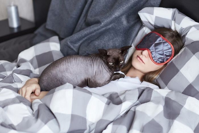 Un adorable chat gris et blanc recroquevillé confortablement, recherchant sécurité et confort dans son environnement.