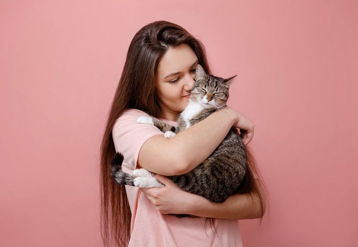 Une image adorable capturant un moment réconfortant d'un chat recevant un doux câlin d'un humain attentionné.