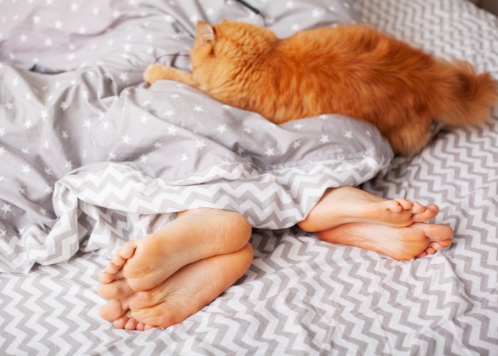 humain dormant sur un lit avec un chat