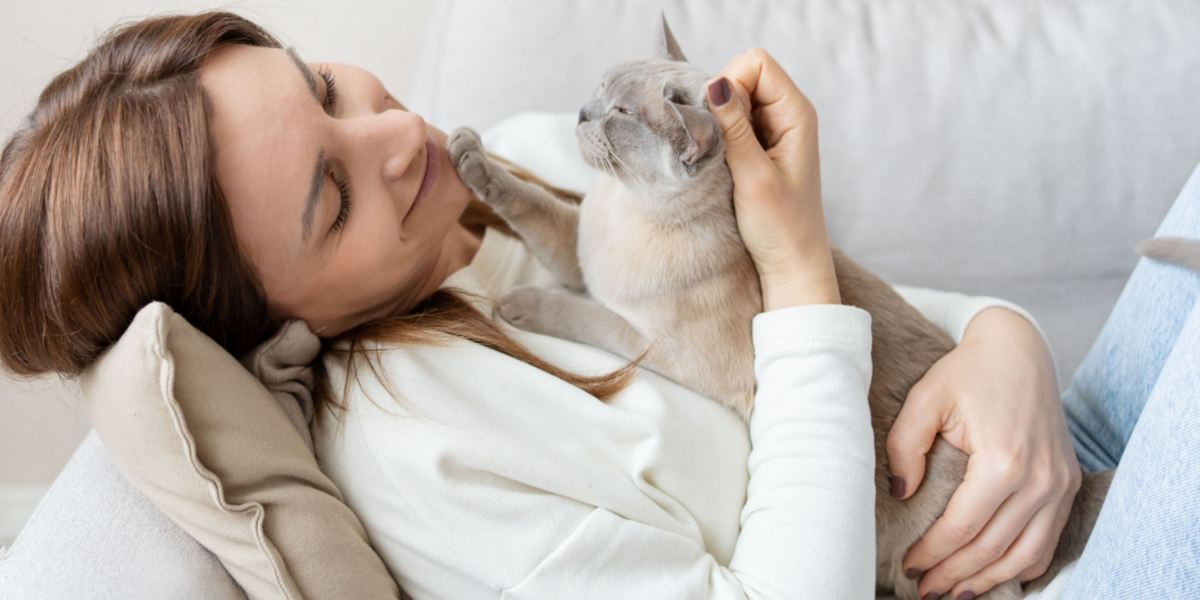 Un chat curieux et affectueux est niché sur la poitrine d'une personne, ses yeux brillants reflétant sa nature joueuse.