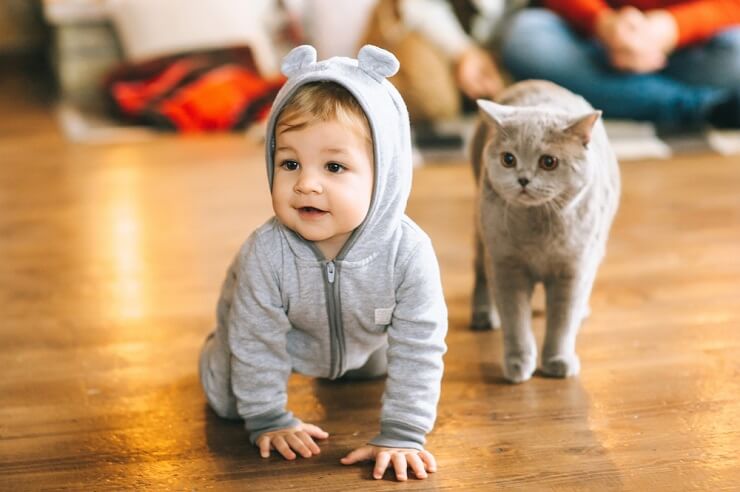 Une image réconfortante d’un bébé avec un chat, illustrant une connexion touchante et douce entre les deux.