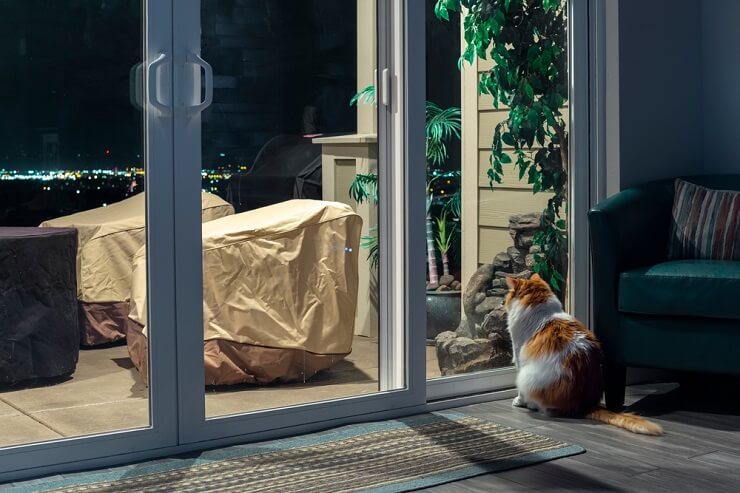 Image représentant un chat assis près d'une fenêtre pendant la nuit, miaulant doucement sous le clair de lune.