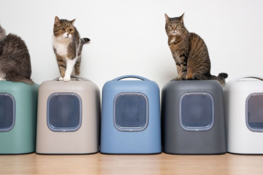Combien de bacs à litière faut-il avoir par chat ?