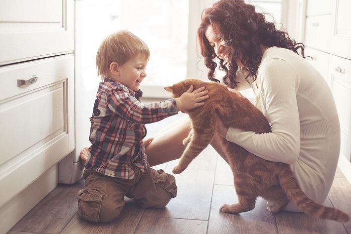 Une image attachante mettant en vedette un chat et un tout-petit partageant un moment réconfortant.