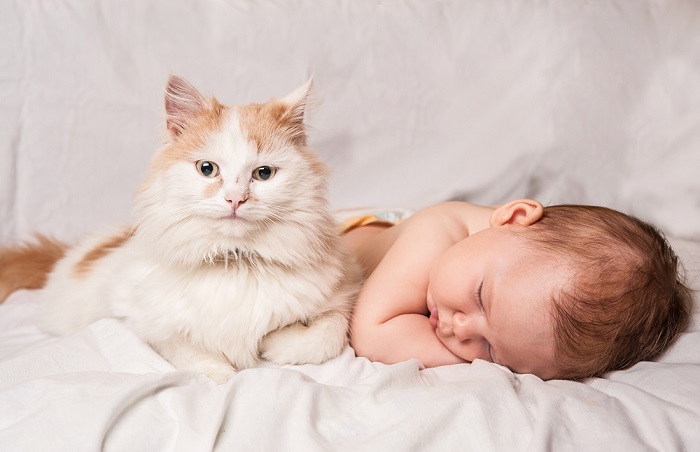 Un chat vigilant surveille un bébé paisiblement endormi avec un regard protecteur.